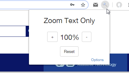 chrome zoom text only